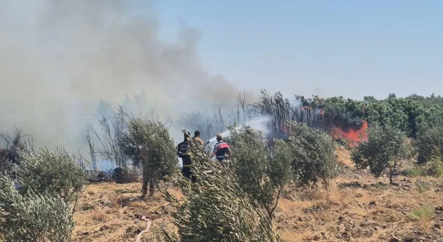 Kırıkhan’da Zeytinlik Yangını Korkuttu