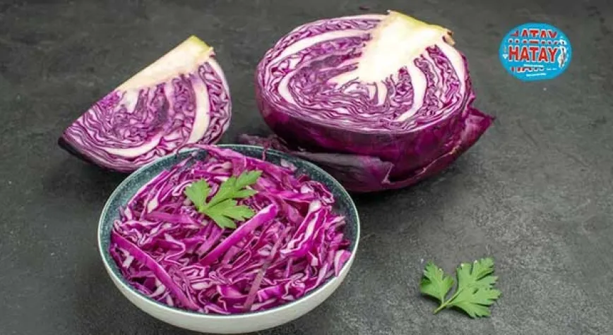 Kırmızı Lahananın Faydaları Nelerdir?