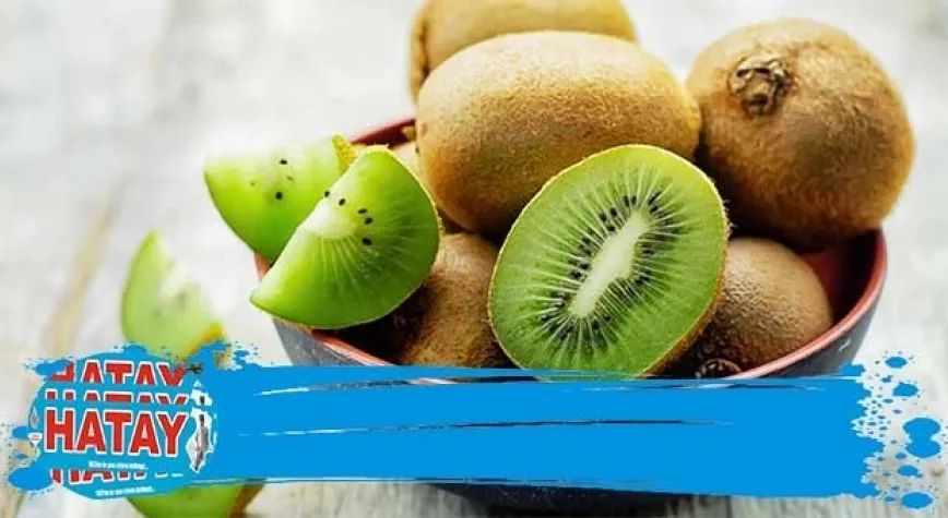 Kivinin Faydaları ve Zararları