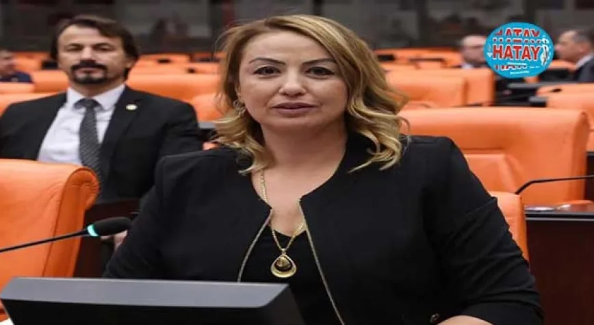 KONTEYNER ŞARTLARI UYUZ HASTALIĞINA SEBEP OLUYOR