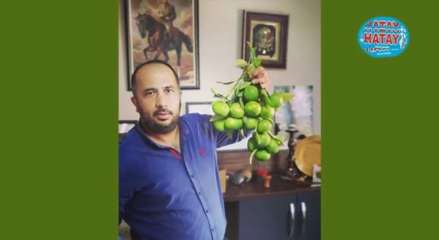 KOOPERATİFLEŞMEKTE KARARLILAR