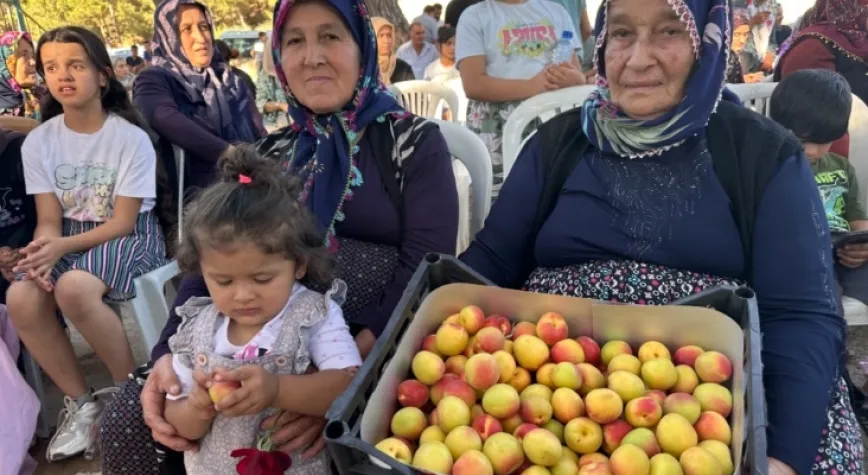 Kozaklı, İlk Kayısı Festivaliyle Şenlendi