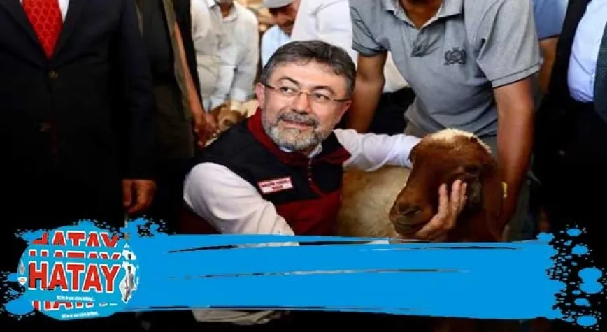 Küçükbaş ve  kanatlı hayvan  dağıtımı tamamlandı