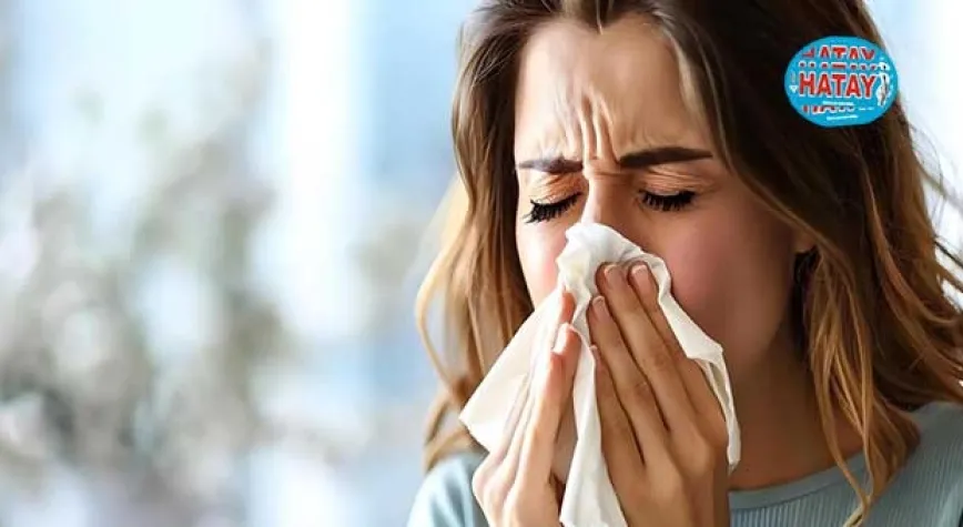 Küf Alerjisi Nasıl Anlaşılır?