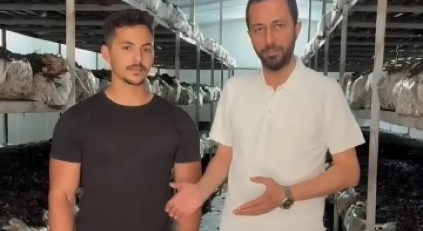 Kültür Mantarı Tesisi Hayata Geçti