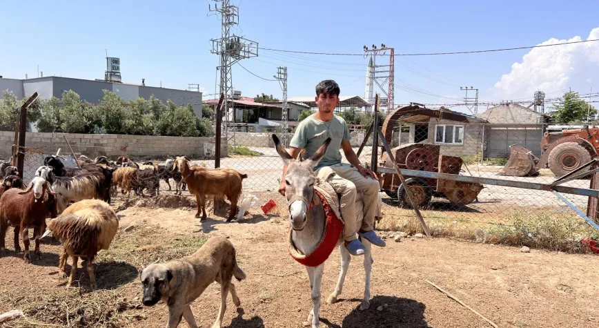 Kumlu’da Öksüz Çobanın Yürek Isıtan Teşekkürü