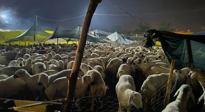 Kurban Pazarı Sel Altında Kaldı