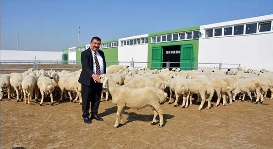 Kurbanlık satış yeri için kira bedeli alınmamalı 