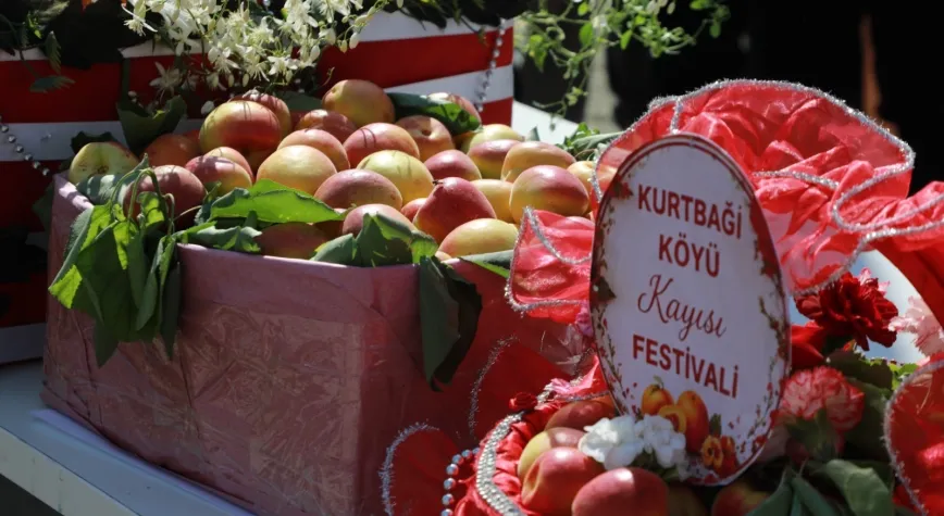 Kurtbağı Kayısı Festivali Yoğun Katılımla Gerçekleştirildi