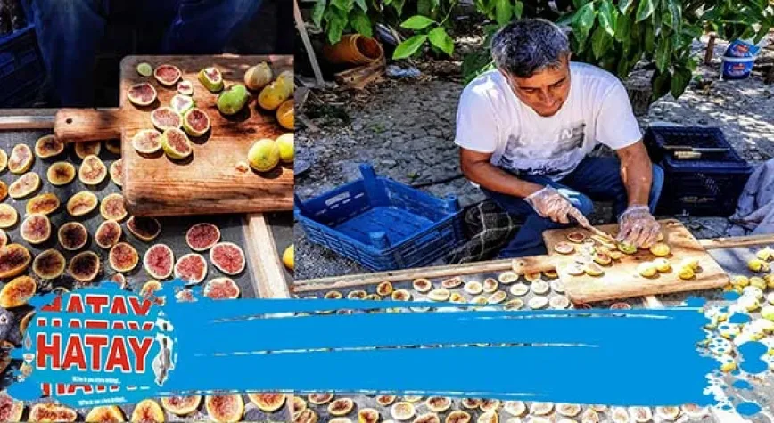 Kurutulmuş Organik İncir Cipsine Bayılacaksınız