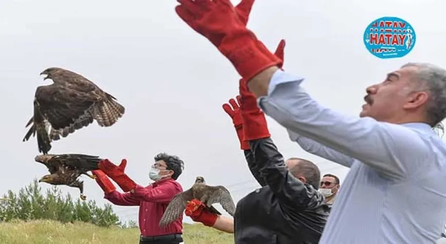 KUŞLAR DOĞAL ORTAMINA BIRAKILDI