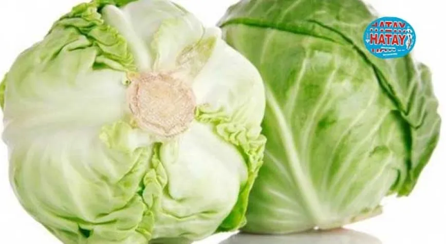 LAHANA TÜKETMEK İÇİN 7 HARİKA NEDEN !