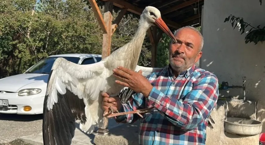 Leyleği, balıkla besleyerek koruma altına aldı