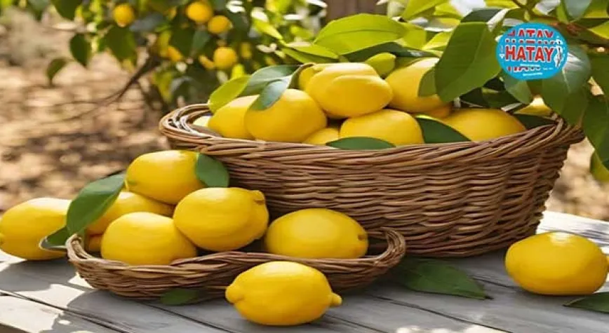 Limon Yemenin Faydaları Nelerdir?