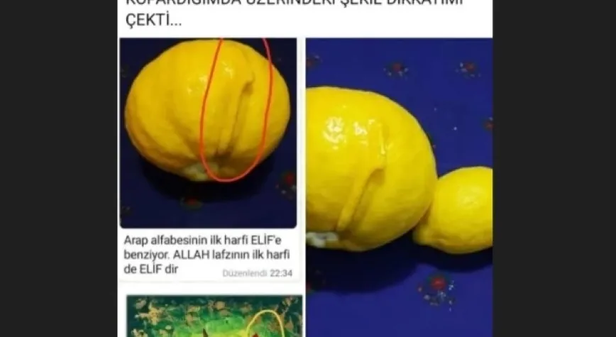Limonun Üzerinde Elif Harfi