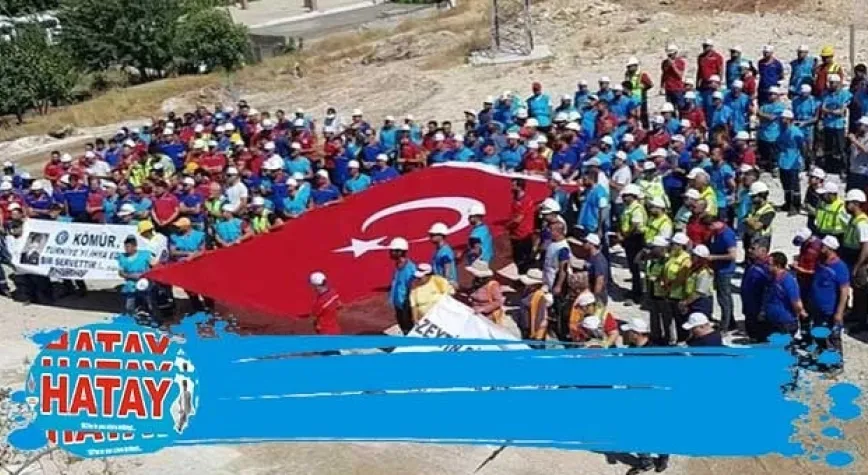 Maden şirketi  130 bin fidan dikecek