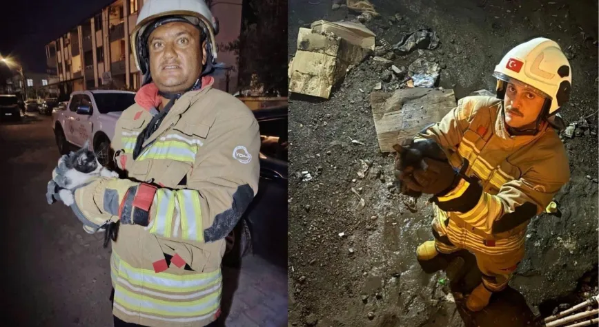 Mahsur Kalan Hayvanlar İçin Ekipler Seferber Oldu