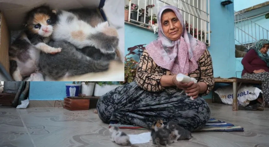 Merhametiyle Yürekleri Isıttı! Annesiz Kalan Kedilere Umut Oldu
