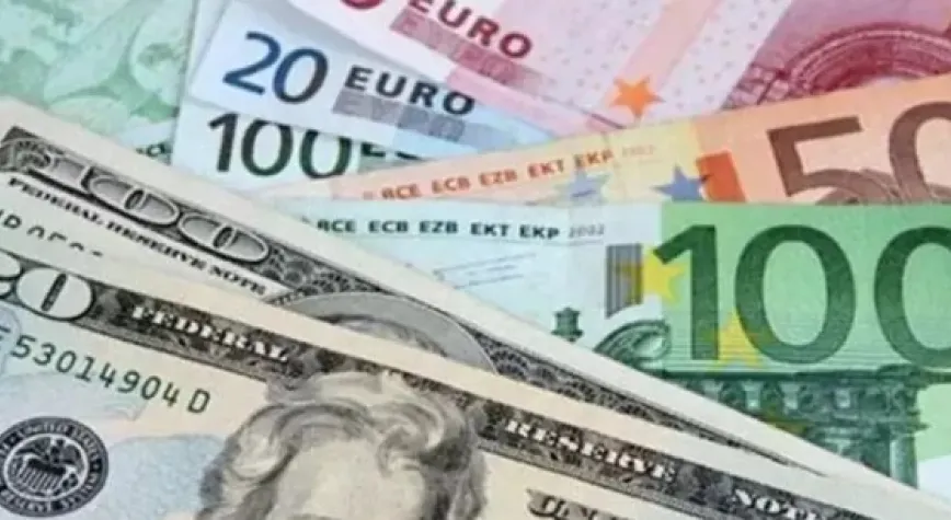 Merkez Bankası'ndan döviz satışı açıklaması