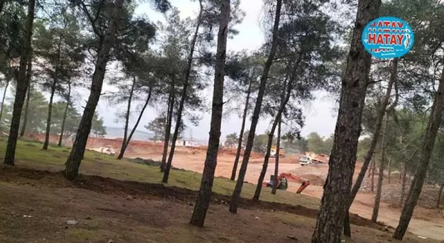 MESİRE ALANI TABİAT PARKI İLAN EDİLMELİ