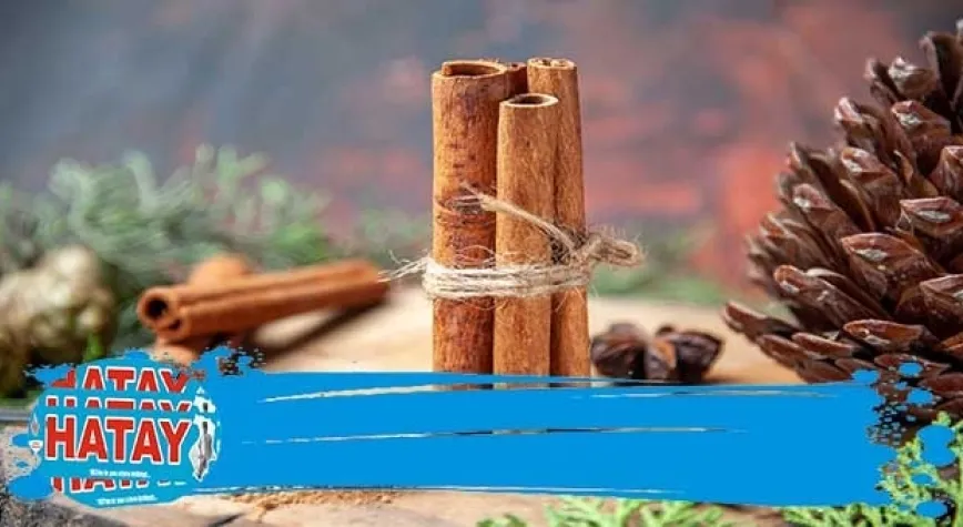 Meyan Kökü Nasıl Kullanılır?