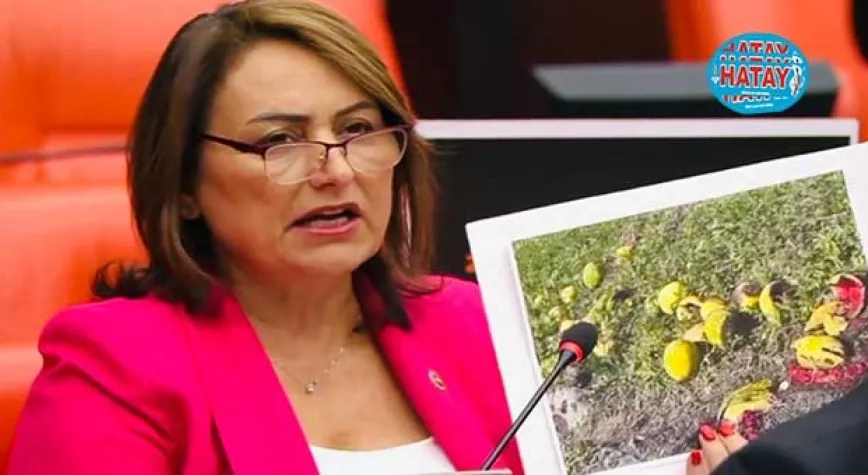  Meyveler, sebzeler yandı, çiftçi perişan, kimseden ses yok!