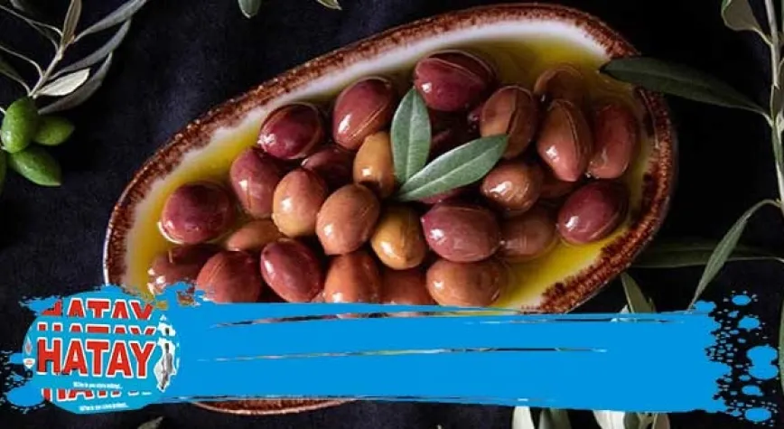 Milas yağlı zeytini AB tescili aldı