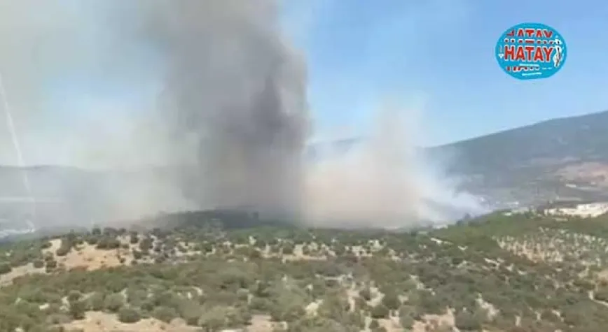 Muğla'da orman yangını