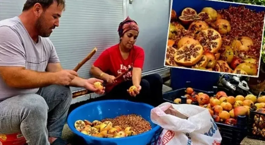 Nar ekşisi zamanı
