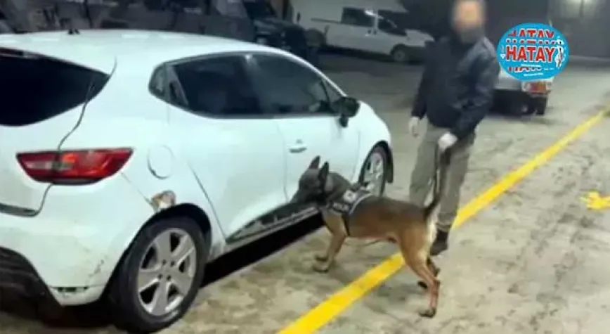 Haber Resmi