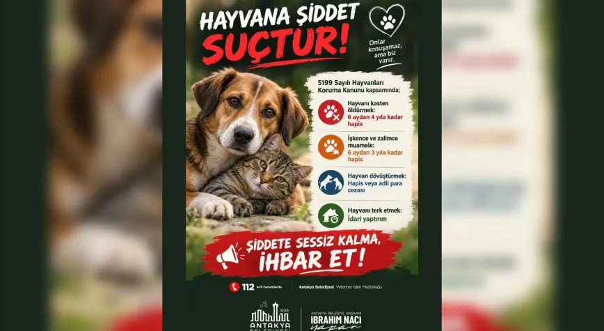 Antakya Belediyesi’nden Hayvan Şiddetine Karşı Çağrı