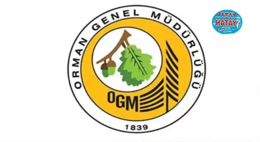 OGM'nin yapay zeka destekli Karar Destek Sistemi BM ödülüne aday