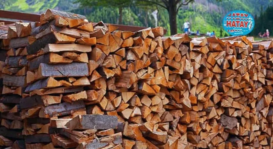Orman köylüsüne ısı yalıtımı desteği
