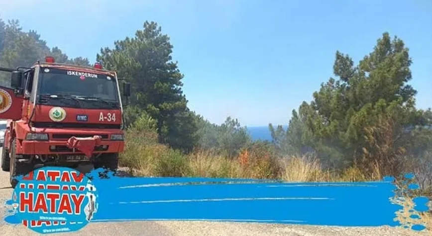 Orman yangını büyümeden söndürüldü