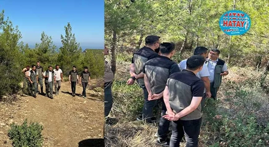 ORMANLARDA  BAKIM ÇALIŞMASI