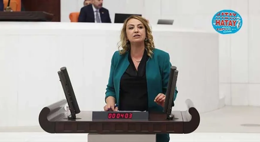 ORMANLARIMIZ EN SOMUT ULUSAL VARLIĞIMIZDIR
