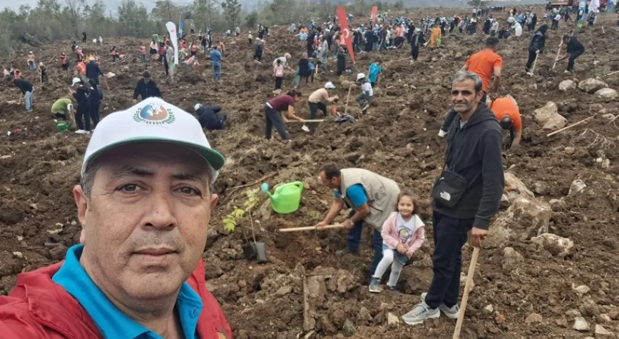 Ormanlık alanlar büyümeye devam edecek