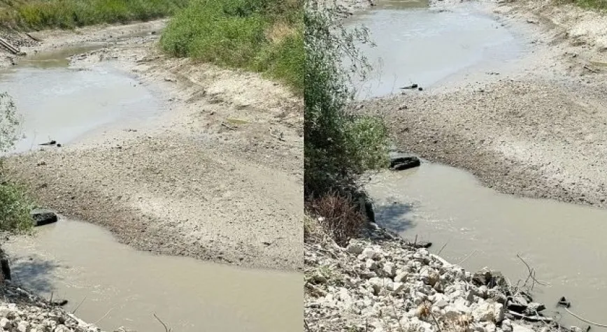 Pamuklar Kuruma Noktasına Geldi