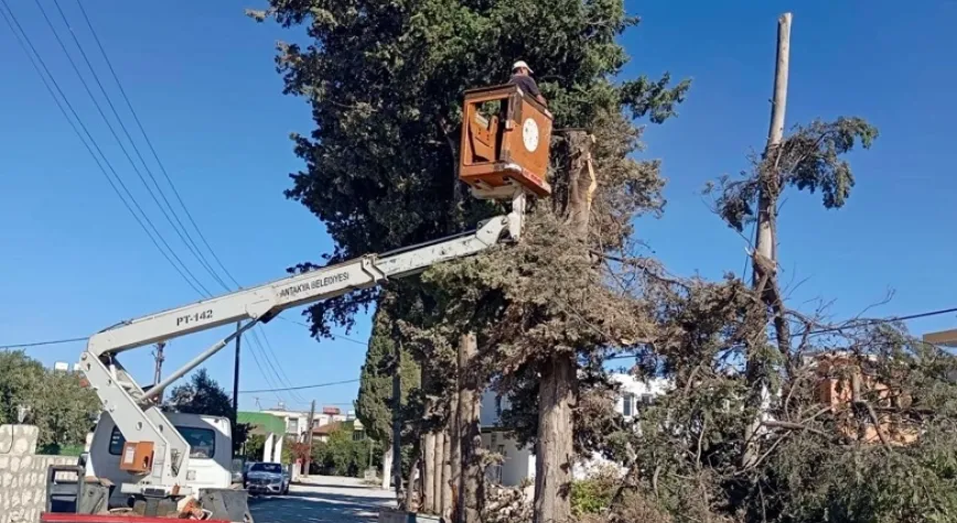 PARK VE BAHÇE MÜDÜRLÜĞÜ ÇALIŞIYOR