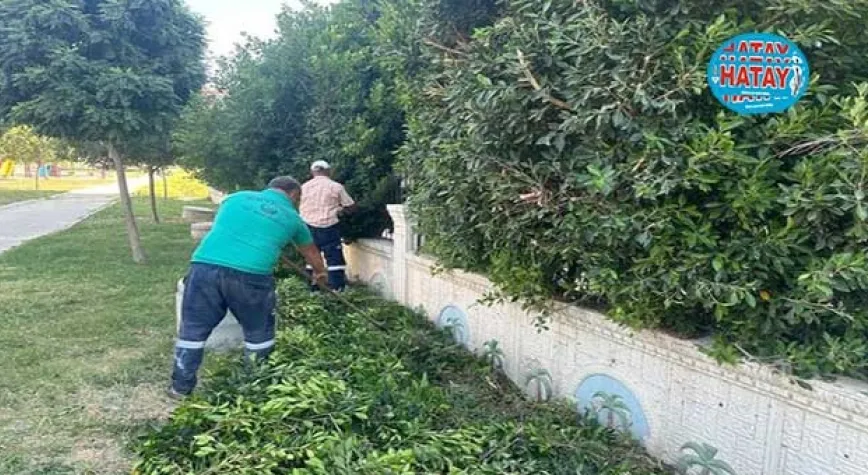 PARK VE YEŞİL ALANLAR GÜZELLEŞTİRİLİYOR