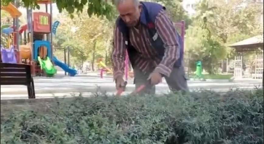 Park ve yeşil alanlarda bakım çalışmaları