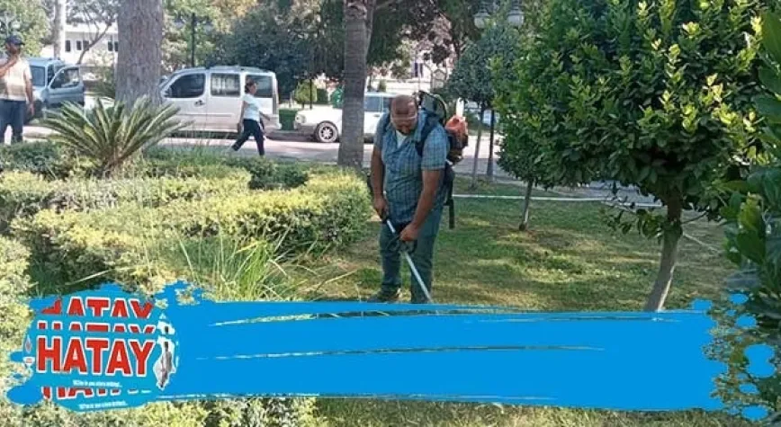 PARK VE YEŞİL ALANLARIN BAKIMI YAPILIYOR
