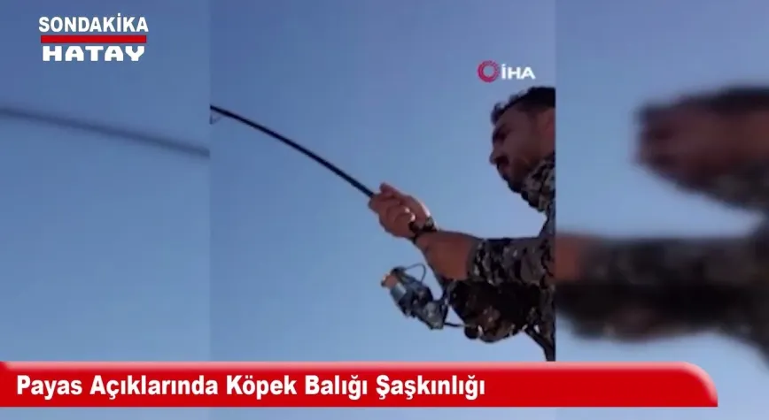 Video Resmi