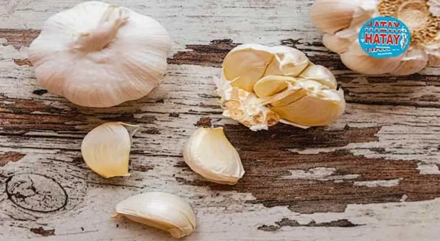 Pişmiş Sarımsağın Sağlık Açısından Faydaları