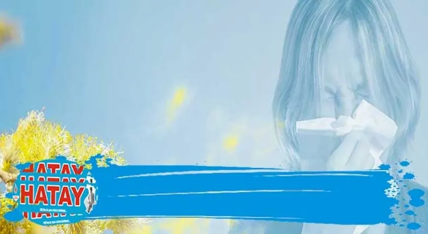 Polen alerjisi Tanısı Nasıl Konulur?