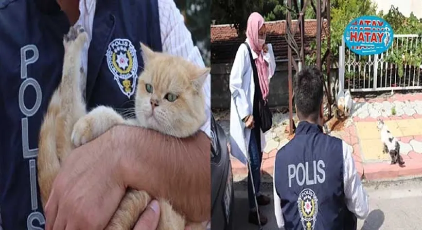 POLİS SOKAK HAYVANLARINI UNUTMADI