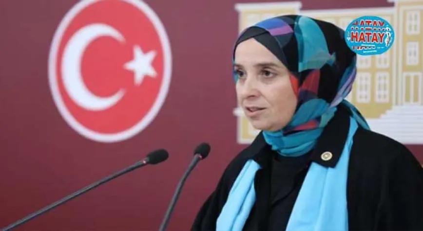 Popülist, eksik ve açıkları olan bir girişim