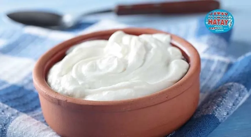 Probiyotik yaşam için anlamına geliyor