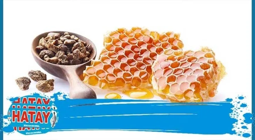 Propolis Ne İşe Yarar?