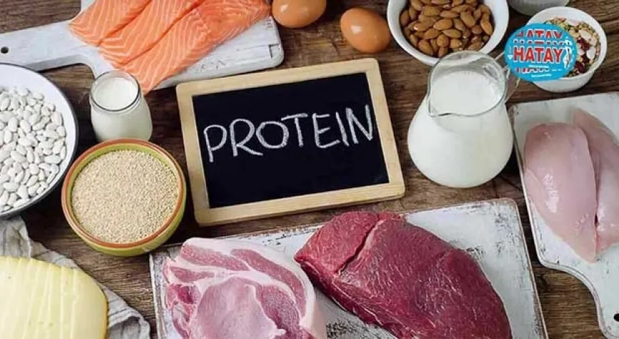 Protein Diyeti Zararları Nelerdir?